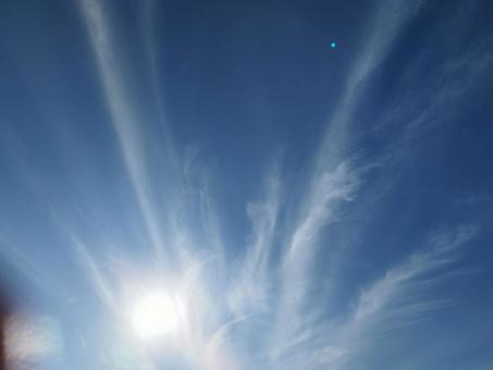 羽根のような雲 羽根のような雲 空,雲,青の写真素材