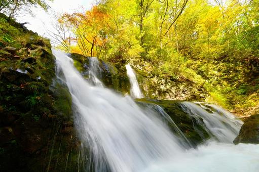 秋のこもれびの滝 秋のこもれびの滝 こもれびの滝,滝,水の写真素材