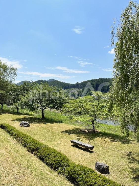 桂川の上流大堰川の広場 広場,空,緑の写真素材