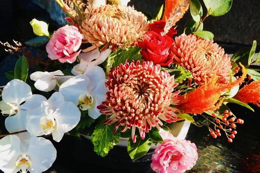 花手水　キク　胡蝶蘭　薔薇 花,花手水,キクの写真素材