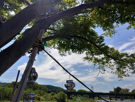 夏空 夏空の写真