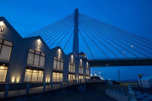 ライトアップされたエーファクトリーと橋1 ライトアップされたエーファクトリーと橋1 ライトアップ,エーファクトリー,夜の写真素材