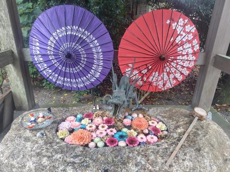 花手水と番傘 花手水,番傘,花の写真素材