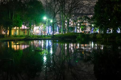 後谷公園トダイルミ 後谷公園トダイルミ トダイルミ,後谷公園,戸田の写真素材