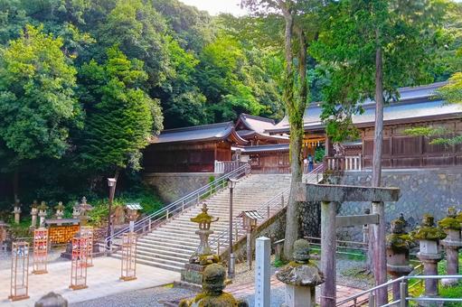 伊奈波神社境内 伊奈波神社境内 神社,岐阜県,伊奈波神社の写真素材