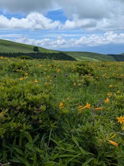 Photo, natural, the scenery, mountain, 