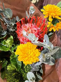 ピンクッション ピンクッション ブーケ,花,アップの写真素材