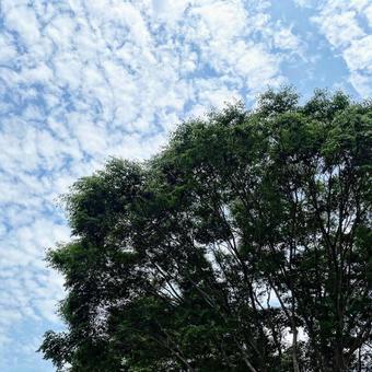 空 空の写真
