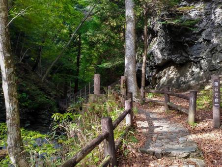 熊いませんように ハイキング,トレッキング,山道の写真素材