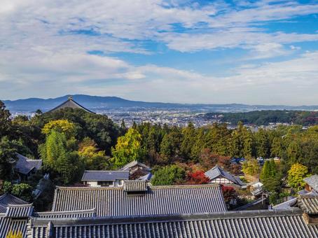 【奈良県】奈良市・若草山からの風景 若草山,奈良,奈良公園の写真素材