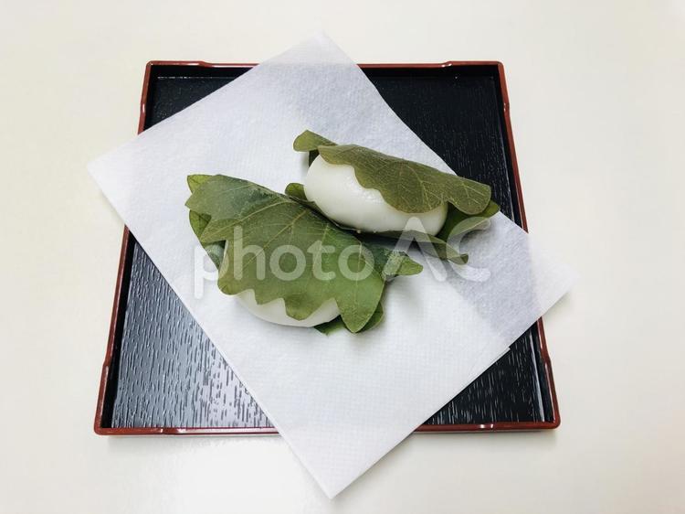 四角い和食器に乗せた柏餅 柏餅,こどもの日,端午の節句の写真素材