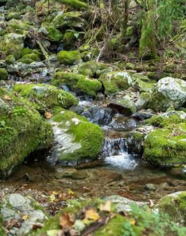 源流 自然,天然,川の写真素材
