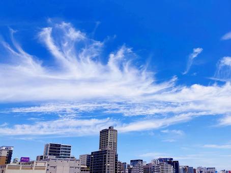 夏空 夏空の写真