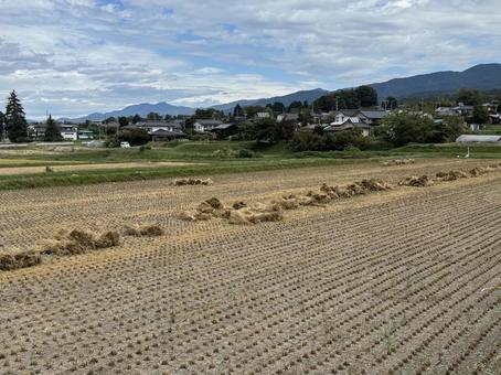 脱穀後の田んぼ 脱穀後の田んぼの写真