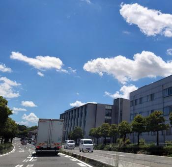 カーブする街路樹の道路と街並み カーブする街路樹の道路と街並み 街路樹,グリーン,並木の写真素材