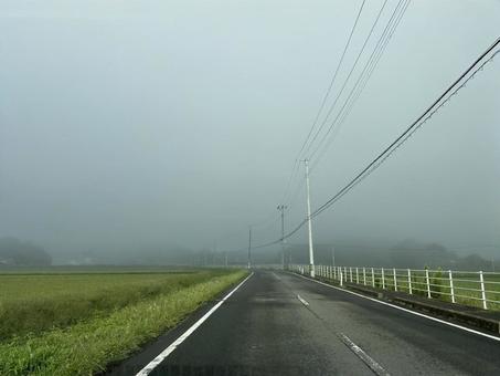 秋の朝焼けと霧 自然,朝焼け,霧の写真素材