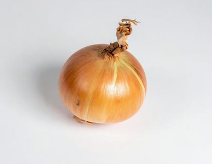 玉ねぎ 単品 1 玉ねぎ 単品 1の写真