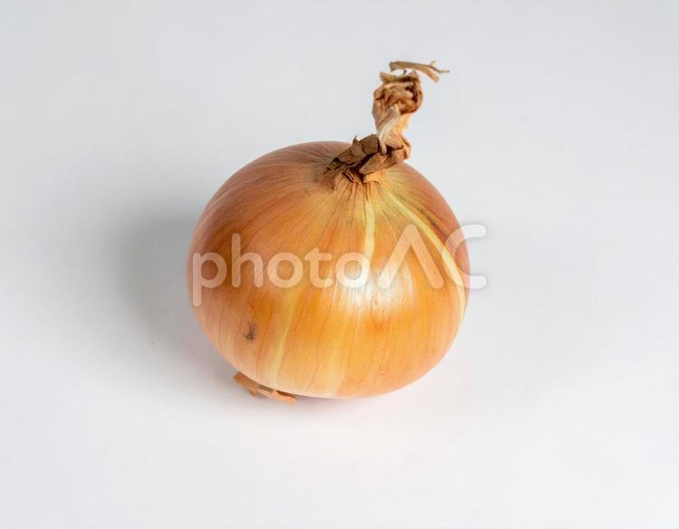 玉ねぎ 単品 1 玉ねぎ,たまねぎ,タマネギの写真素材