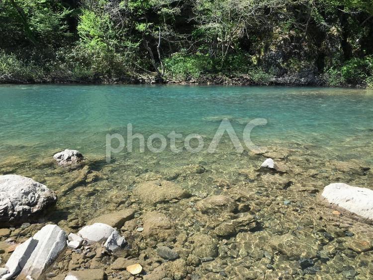 青い川のほとり 川,川辺,川岸の写真素材