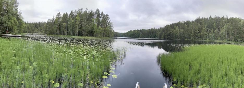 Nuuksio Park nuuksio,park,ヌークシオ国立公園の写真素材