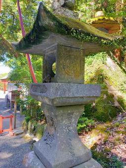 夏の宇佐神宮 夏の宇佐神宮の写真