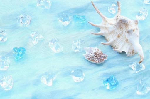 クモ貝と巻貝 夏の海のイメージ 水色 クモ貝と巻貝 夏の海のイメージ 水色 貝殻,涼し気,巻貝の写真素材