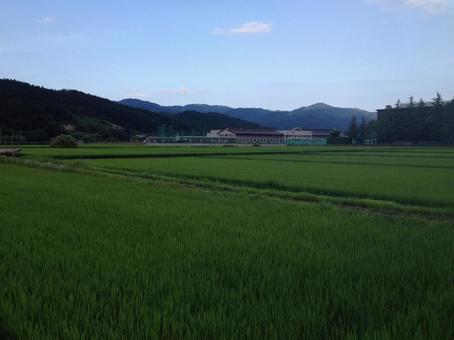 風景 風景の写真