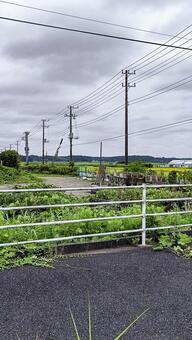 連なる電柱と静かな田舎の風景（縦） 田んぼ,電柱,郷愁の写真素材