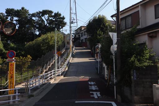 大田区 佐伯山緑地 大田区 佐伯山緑地の写真