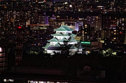 Nagoya Castle at night, JPG