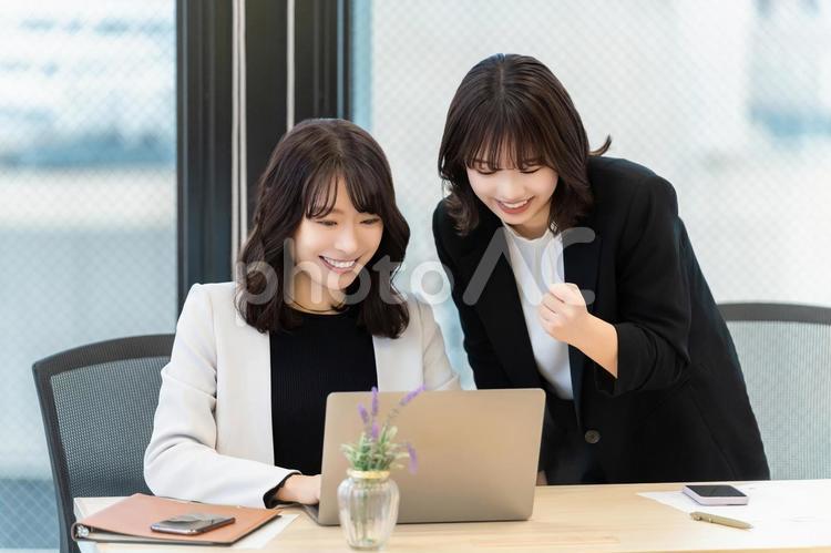 パソコンを使う2人のビジネスウーマン 女性,ビジネス,ビジネスウーマンの写真素材