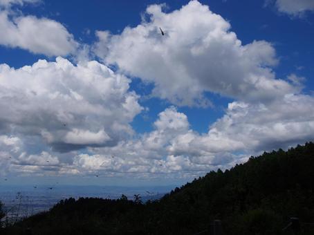 山頂からの景色 山頂からの景色の写真