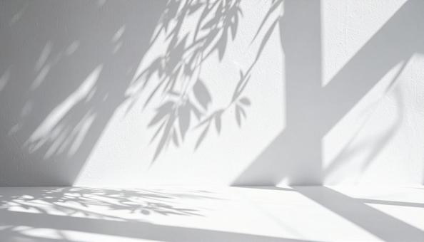 白い壁に映る植物の影と光が美しい背景 白い壁に映る植物の影と光が美しい背景の写真