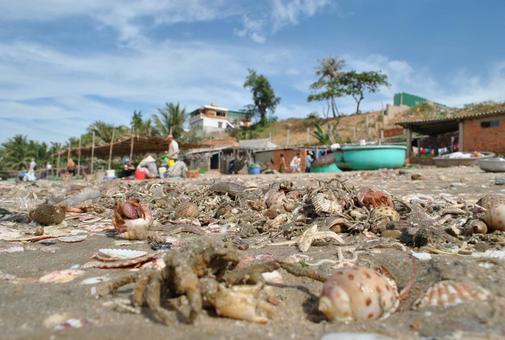 ベトナムの風景 ベトナム,風景,景色の写真素材