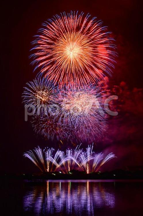 花火 夏 花火,花火大会,夏祭りの写真素材