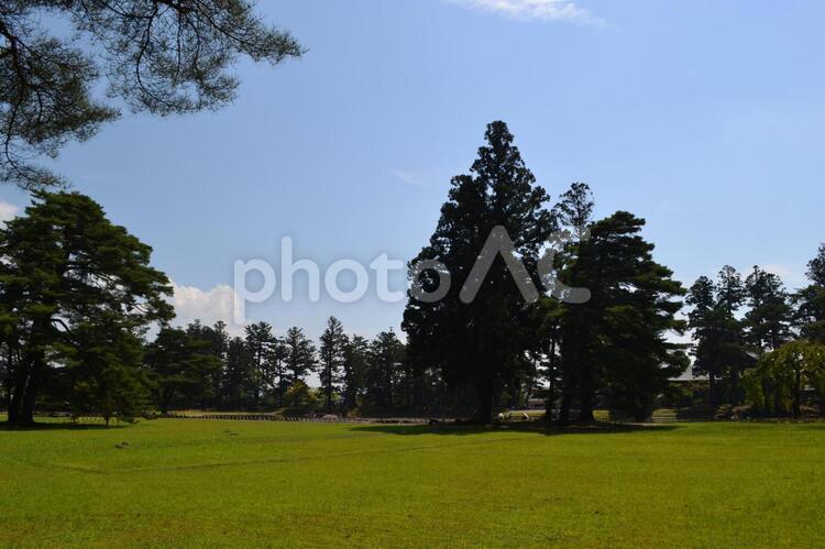 岩手　毛越寺　夏 岩手,毛越寺,庭園の写真素材