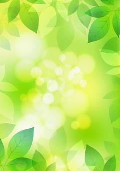 Leaf background / frame, JPG Leaf background / frame, frame, summer, leaf, JPG