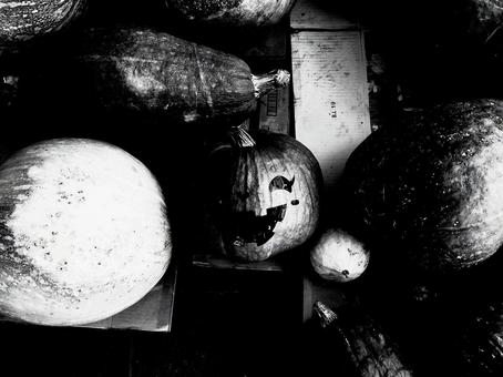 ハロウィンに向けて ハロウィンに向けて ハロウィン,halloween,10月の写真素材