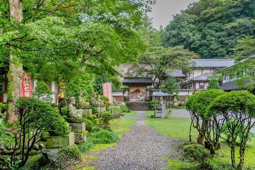 那珂川町 龍澤山乾徳寺 参道(栃木) 那珂川町 龍澤山乾徳寺 参道(栃木) 那珂川町,龍澤山,乾徳寺の写真素材