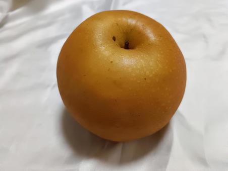 梨 梨 梨,なし,バラ科ナシ属の写真素材