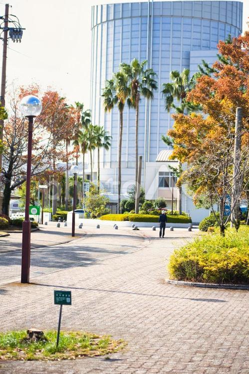 鹿児島市　風景　鴨池 鹿児島市,市街地,景色の写真素材