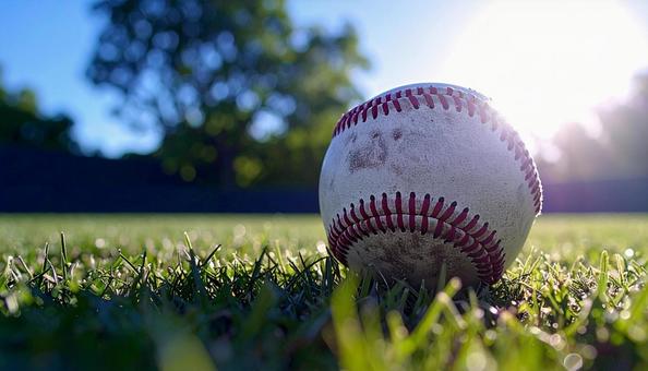 野球ボール 野球ボールの写真