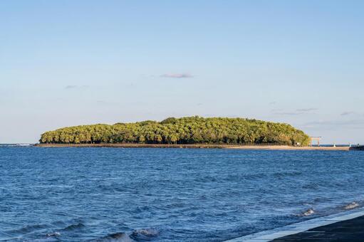 夕方の青島神社 青島神社,海,神社の写真素材