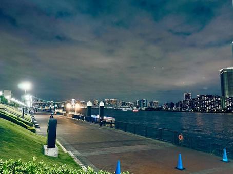 東京湾と晴海のスカイラインの夜景 東京湾と晴海のスカイラインの夜景の写真