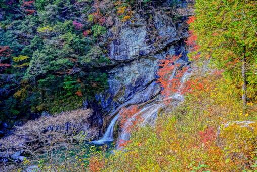高知県・瀬戸川渓谷の紅葉 高知,高知県,瀬戸川渓谷の写真素材