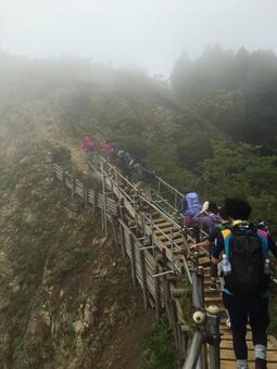 霧の中のハイキング 霧の中のハイキングの写真