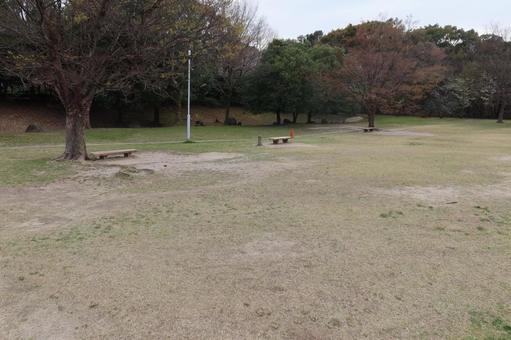 4月初旬の公園の芝 4月初旬の公園の芝の写真