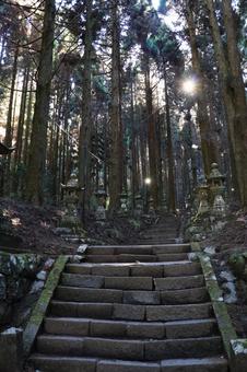 熊本県高森町 上色見熊野座神社 熊本県高森町 上色見熊野座神社 上色見熊野座神社,神社,参拝の写真素材