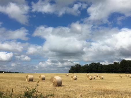 イギリスの田舎の風景ー丘と牧草ロール イギリスの田舎の風景ー丘と牧草ロール イギリス,干し草,自然の写真素材