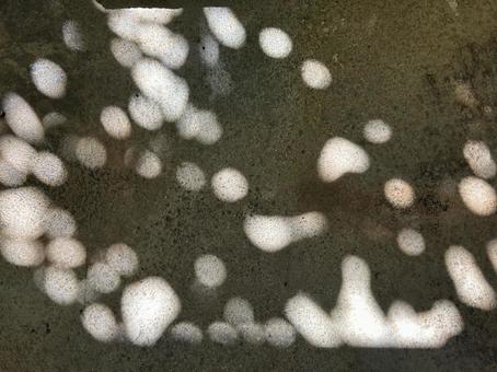 木漏れ日 木漏れ日の写真